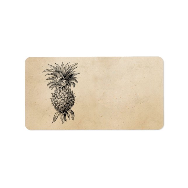 Etiqueta Ilustração do ananás de abacaxi dos anos 1800 (Frente)