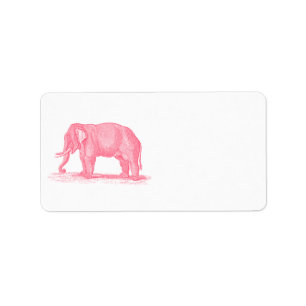 Etiqueta Ilustração dos elefantes dos 1800s do elefante
