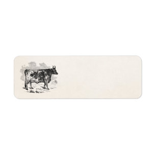 Etiqueta Ilustração personalizada vaca de Bull do Kerry d