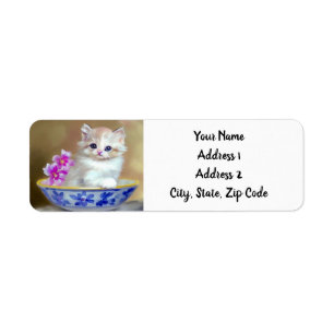 Etiqueta Ilustração Vintage White Kitten