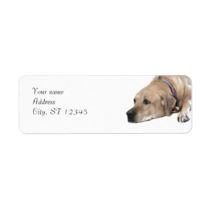 Etiqueta Imagem do cão de Rhodesian Ridgeback do animal de