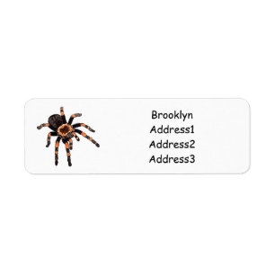 Etiqueta Imagem do desenho de Tarantula