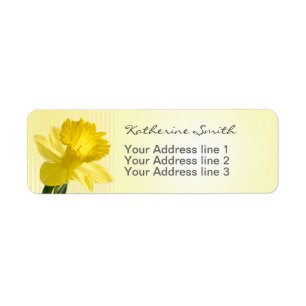 Etiqueta Imagem e listras amarelas do Daffodil do endereço