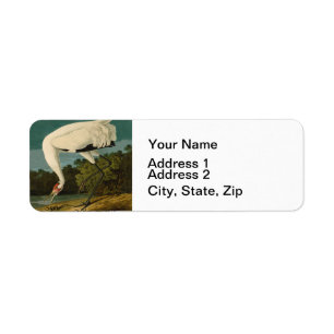 Etiqueta Impressão de Ave de Crane Audubon