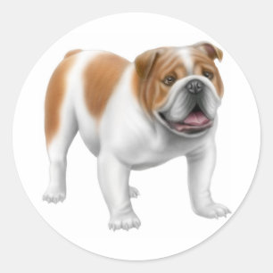 Etiqueta inglesa do buldogue