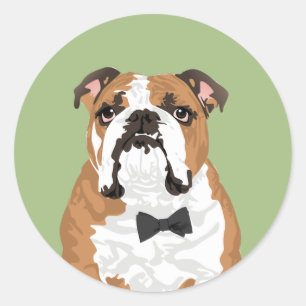 Etiqueta inglesa do buldogue do cavalheiro para