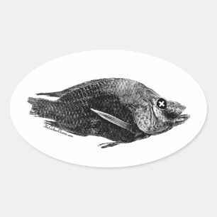Etiqueta inoperante do Oval do Tilapia do mar de