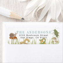 Insetos Insetos Critérios Cogumelo