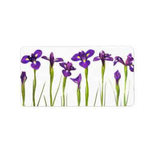 Etiqueta Íris roxas - modelo personalizado flor da íris