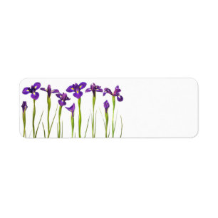 Etiqueta Íris roxas - modelo personalizado flor da íris