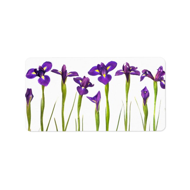Etiqueta Íris Roxos - Modelo Personalizada da Flor Íris (Frente)