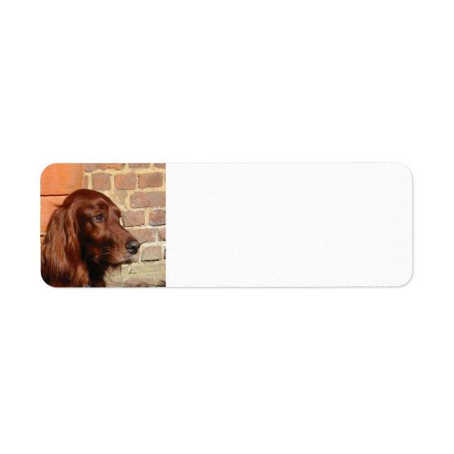 Etiqueta irish setter.png (Frente)