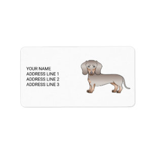 Etiqueta Isabella E Tan Cachorro Dachshund De Cabelo Curto