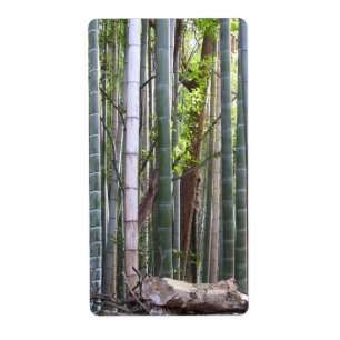 Etiqueta Japonês Giant Bamboo Forest, Sagano, Kyoto, Japã