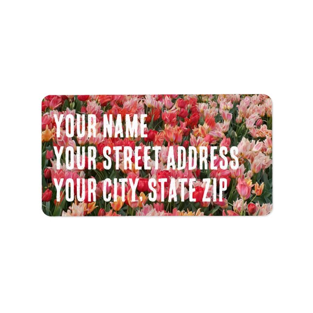 Etiqueta Jardim da Flor de Tulip Rosa Personalizado (Frente)