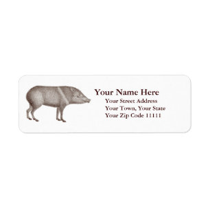 Etiqueta Javelinas colocou um colar a arizona original dos