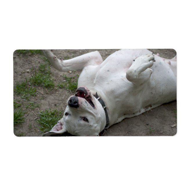 Etiqueta Jogando Dogo Argentino (Frente)