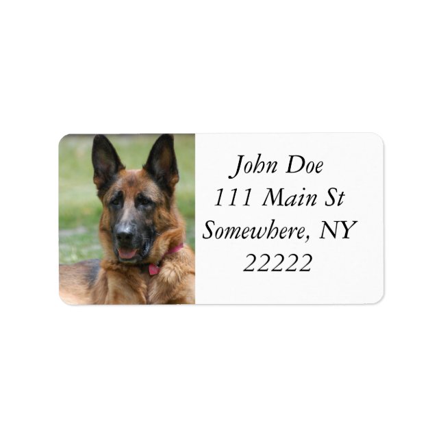 Etiqueta Jovem GSD (Frente)