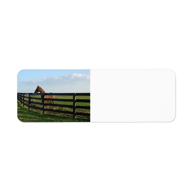 Etiqueta Kentucky Bluegrass Country (Frente)