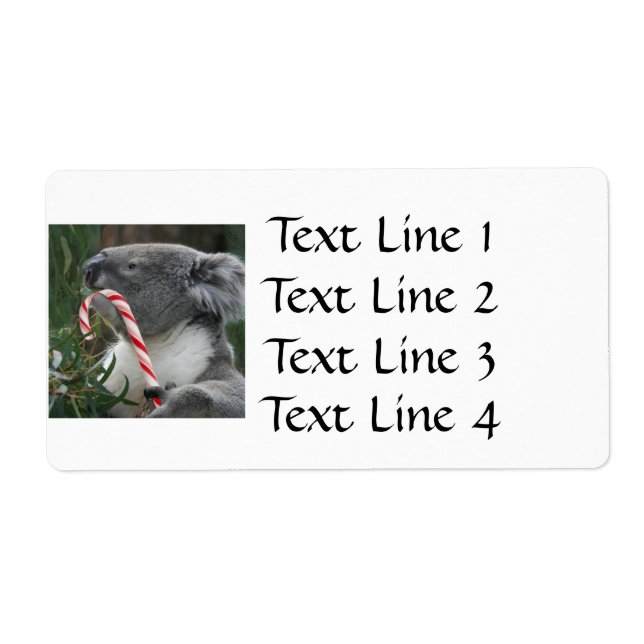 Etiqueta Koala Christmas Candy Cane (Frente)