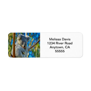 Etiqueta Koala Love Address Labels