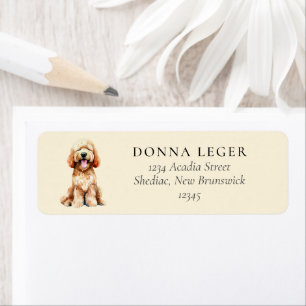 Etiqueta Labradoodle Goldendoodle Endereço do Cão