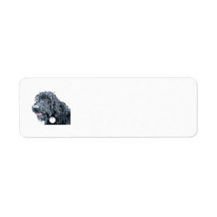 Etiqueta Labradoodle preto