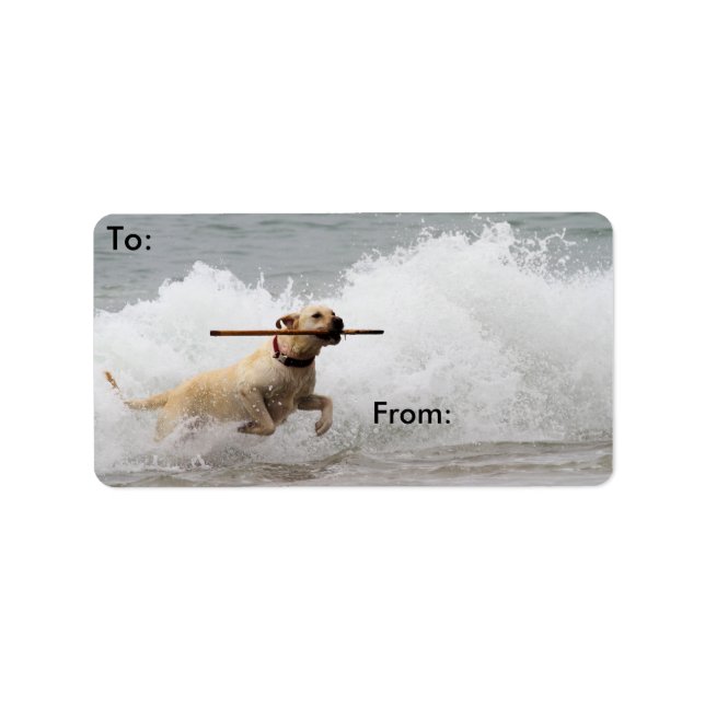 Etiqueta Labrador - Amarelo - Vá Buscar! (Frente)