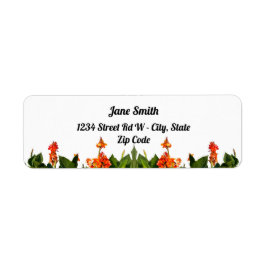 Etiqueta Laranja Canna Lírios E Sai Do Endereço De Devoluçã