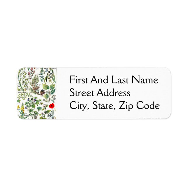 Etiqueta Larousse Pine Cone Árvore Floresta Arte Natural (Frente)