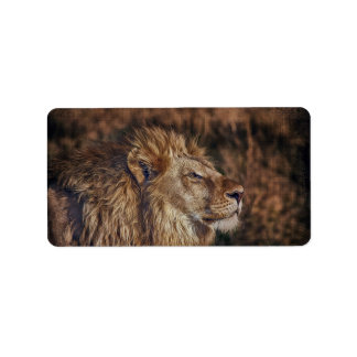 Etiqueta Leão majestoso