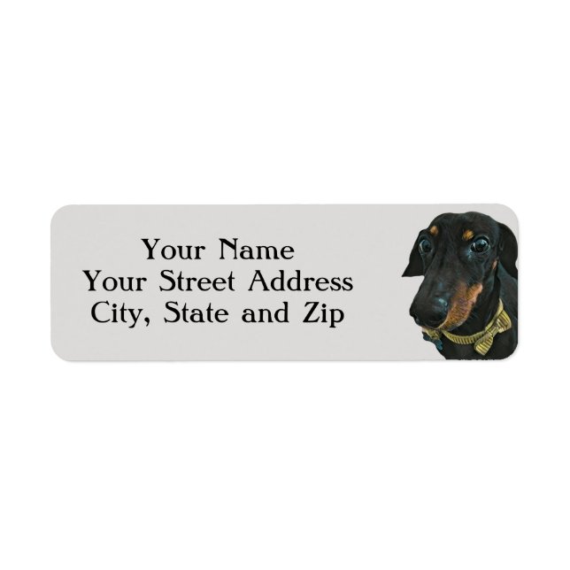 Etiqueta LeBron the Dachshund Address Labels (Frente)