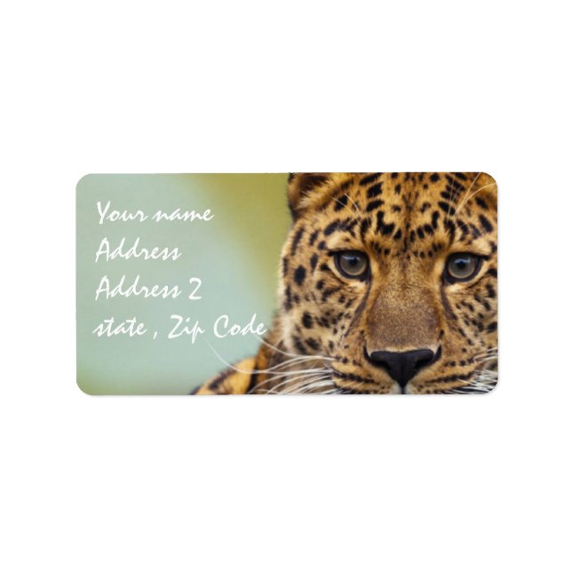 Etiqueta Leopardo (Frente)