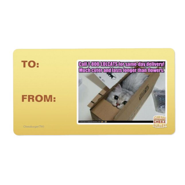 Etiqueta Ligue para 1-800-LOLCATS (Frente)