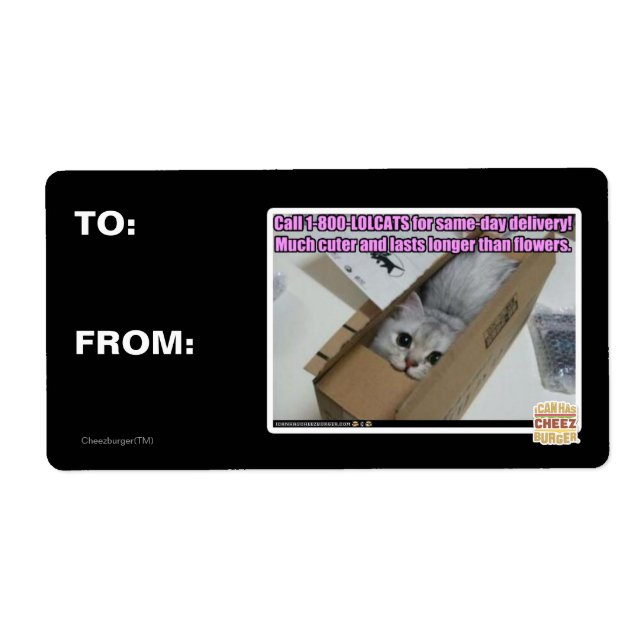 Etiqueta Ligue para 1-800-LOLCATS (Frente)