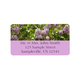 Etiqueta Lilac Bush Lindas Flores de primavera Roxas