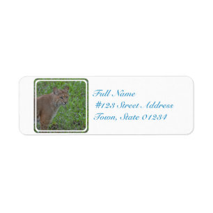Etiqueta Lince que Prowling