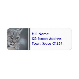 Etiqueta Lince surpreendente