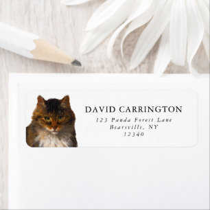 Etiqueta Linda Vintage Maine Coon Cat Retrato