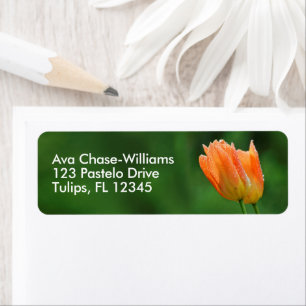 Etiqueta Lindas Tulipas Laranja De Pastel Floral Beijado Co