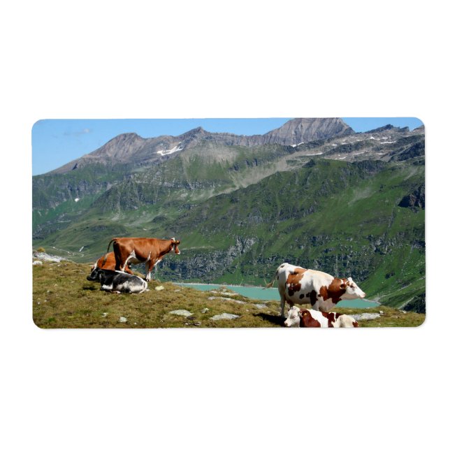 Etiqueta Lindas Vacas Altas Nas Montanhas (Frente)