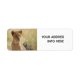 ETIQUETA LION CUB