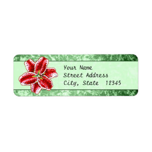 Etiqueta Lírio do Stargazer