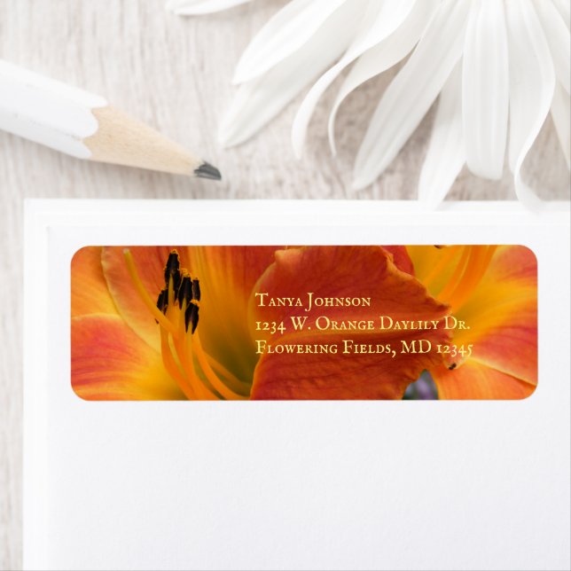 Etiqueta Lírios / Hemerocallis / Lily Laranja / (Insitu)