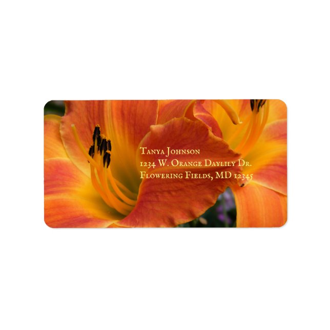 Etiqueta Lírios / Hemerocallis / Lily Laranja / (Frente)