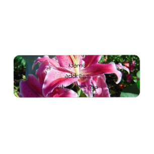 Etiqueta lírios stargazer