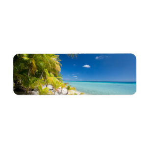 Etiqueta Litoral tropical