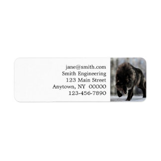 Etiqueta Lobo negro zangado