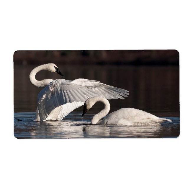 Etiqueta Loving Swans (Frente)