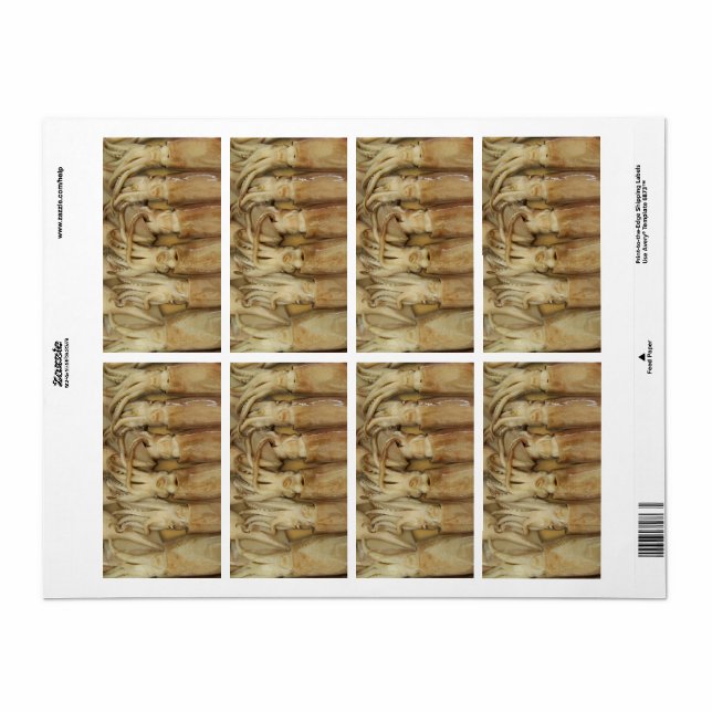 Etiqueta Lula - Calamari (Folha completa)